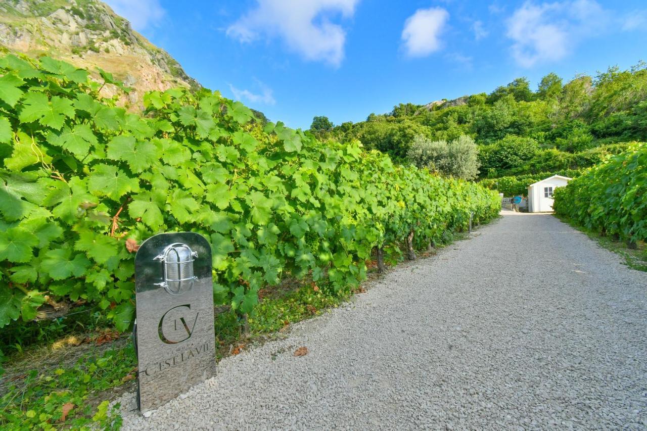 Tenuta C'Est La Vie Forio di Ischia Екстериор снимка